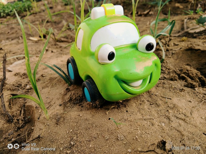 toy
