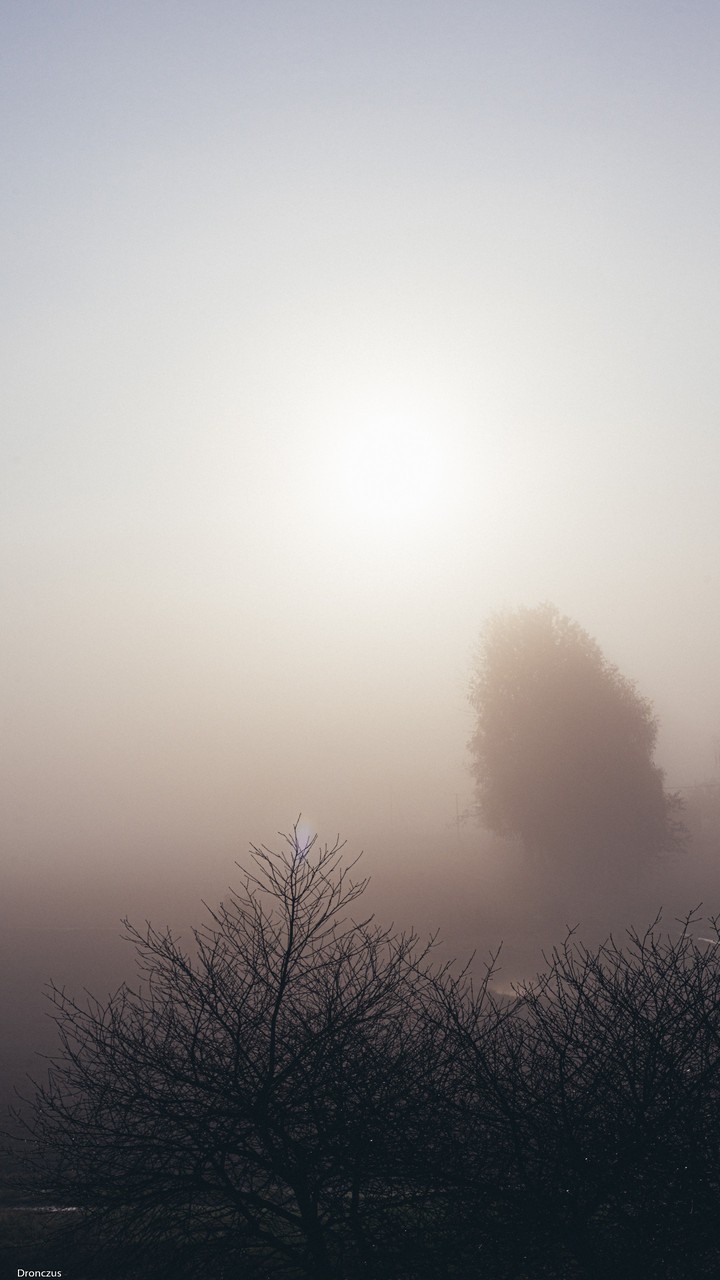 fog of life