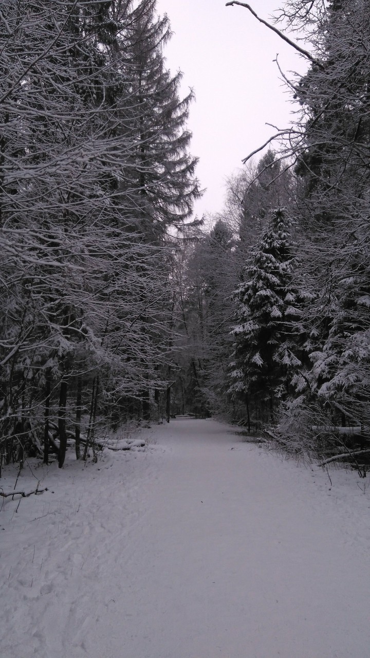 quiet place