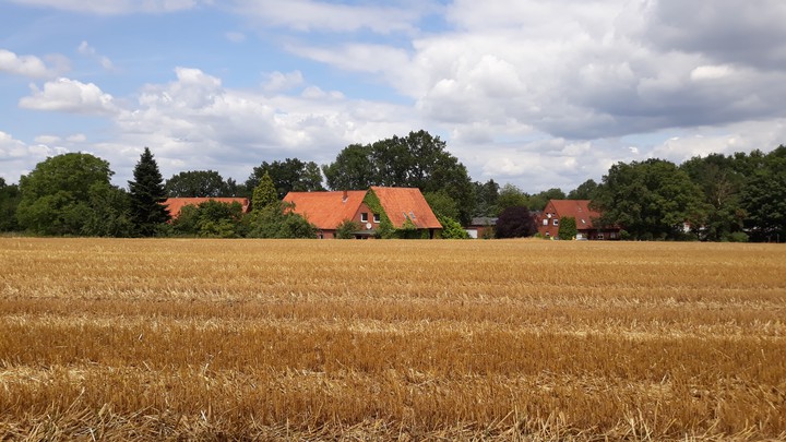 field
