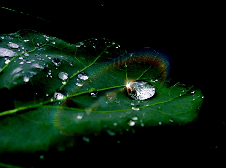 water drop
