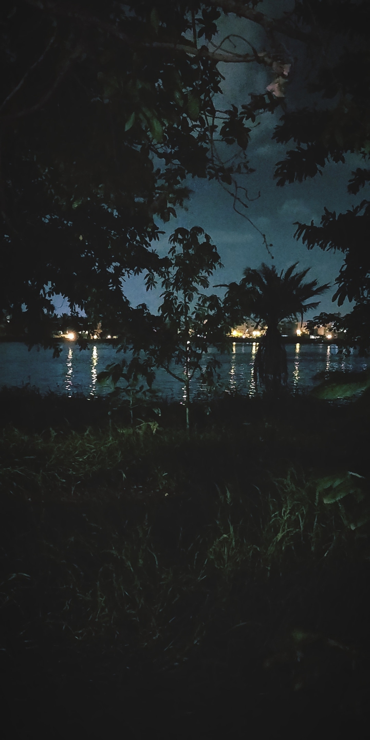 Evening Lakeside