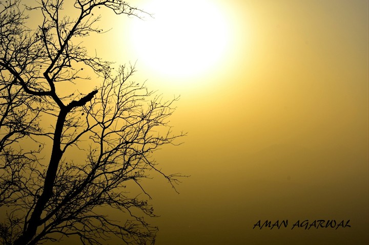 dawn