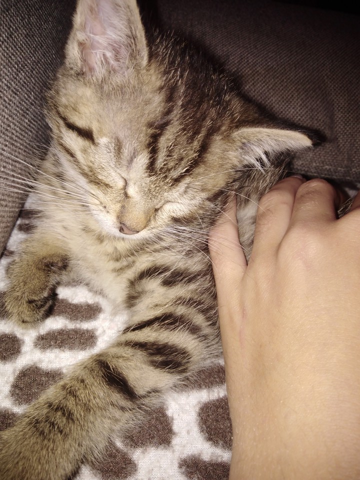 ❤️