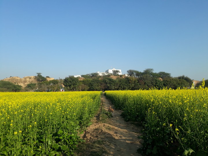 village culture