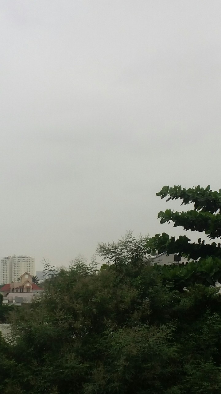 Mọi thứ xung quanh rất đơn giản