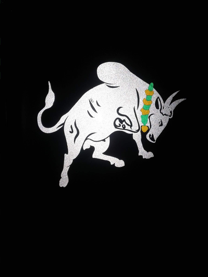 bull
