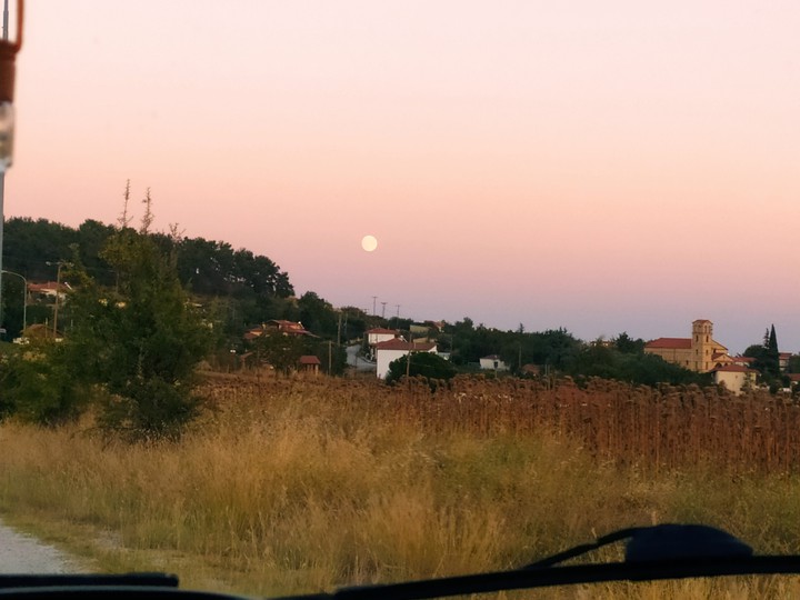•landscape•