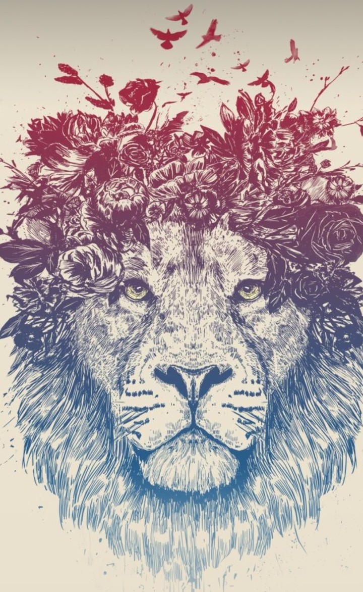 lion