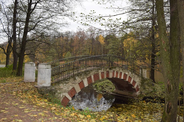bridge