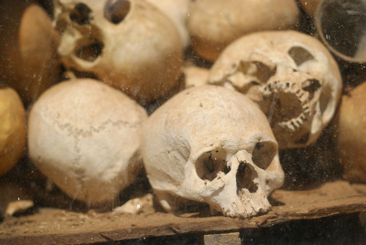 Human Skeleton