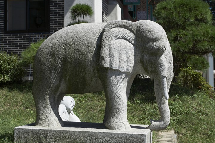 Elephant
