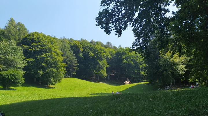 nature