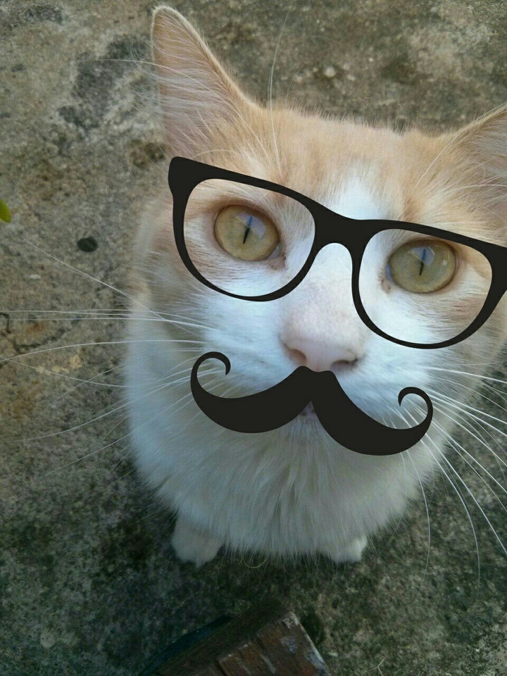 Hello