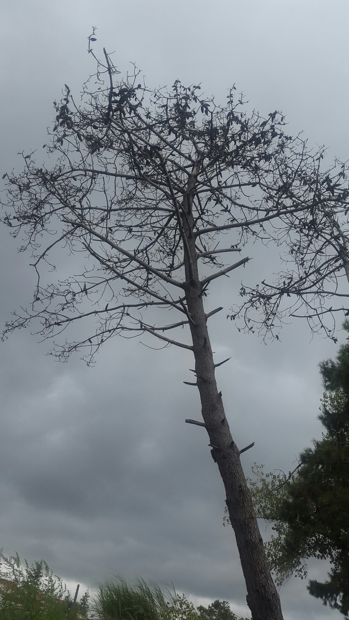 Autumn is comming
