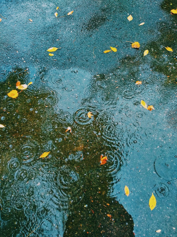 rain