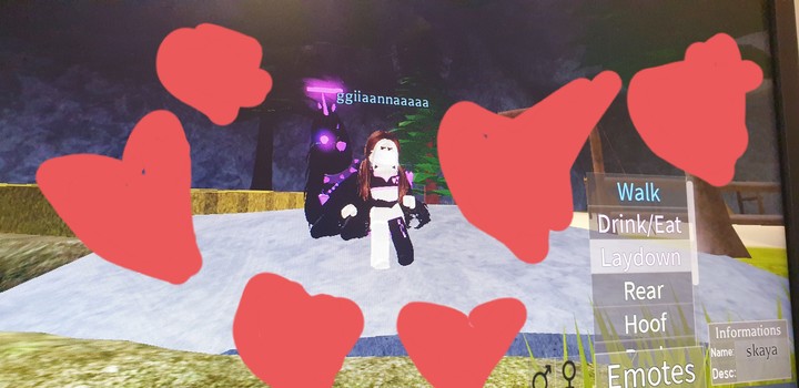 me and my owner