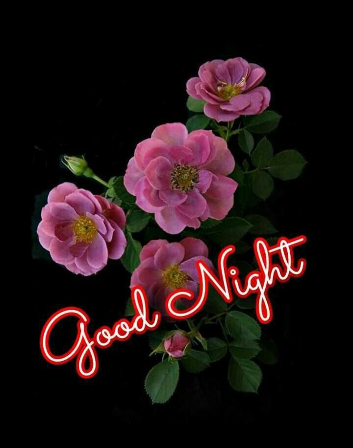 Good night to all