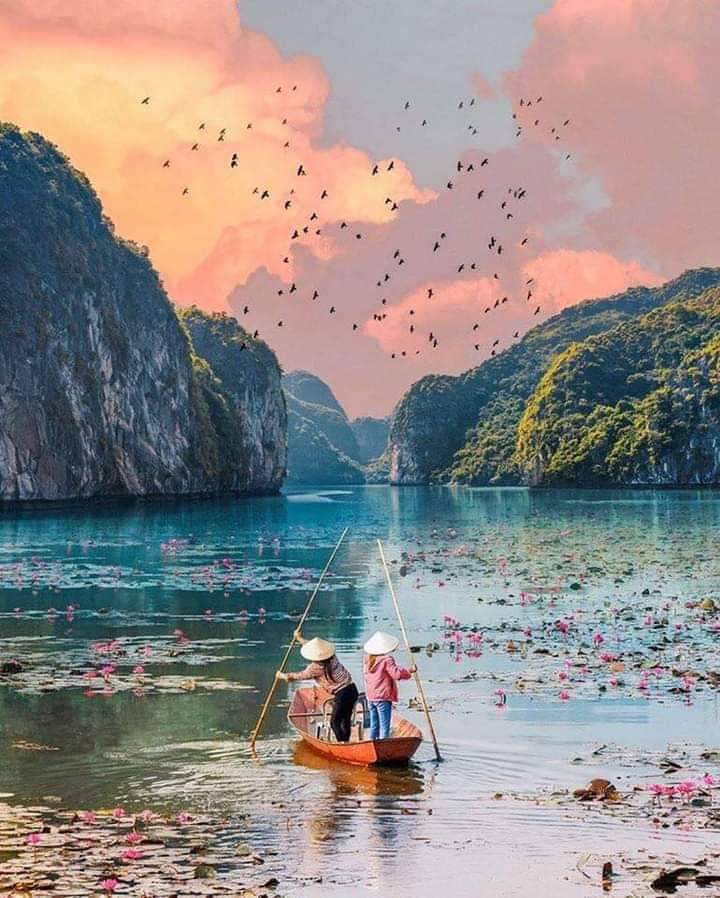Welcome to Vietnam