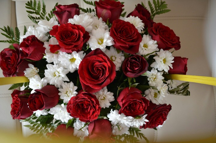 Rose, розы