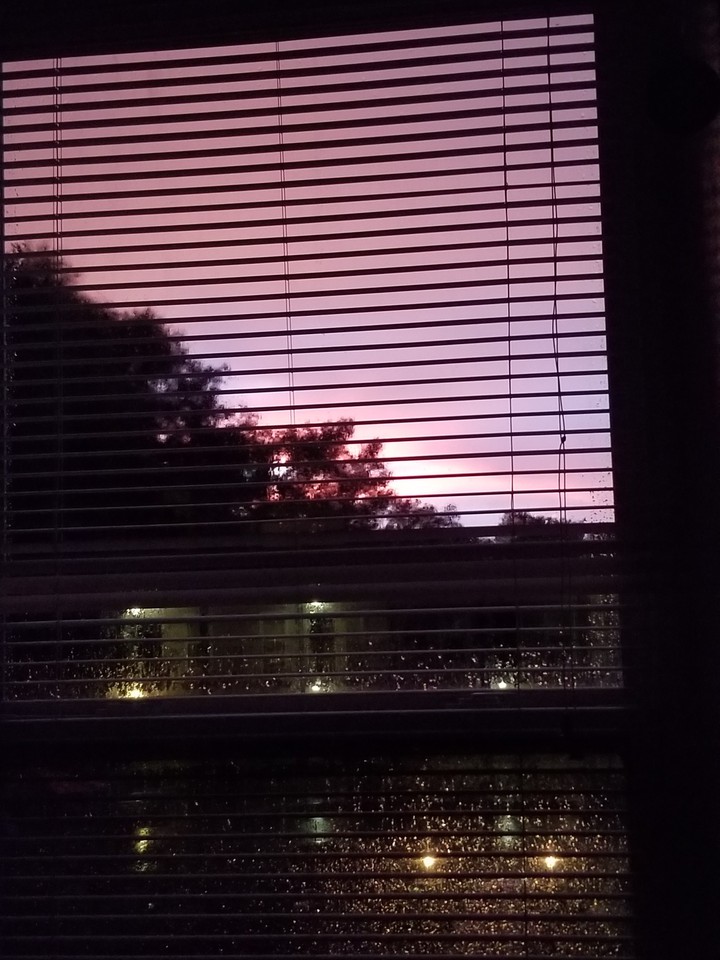 after a rainy day