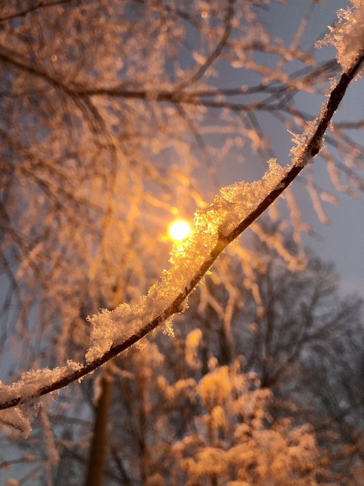 Snow