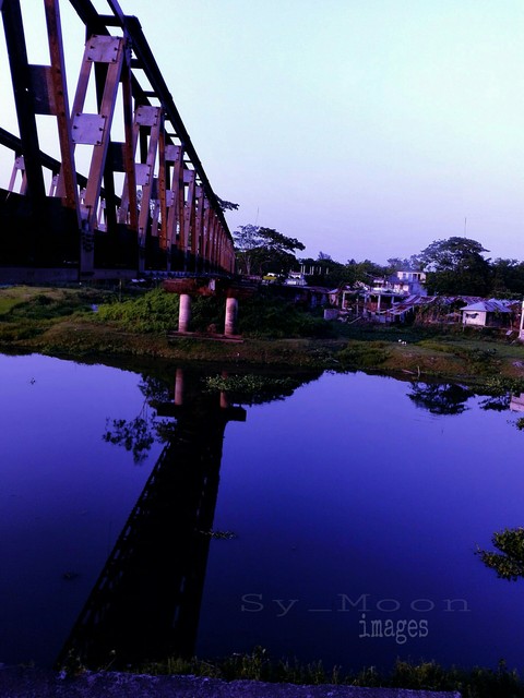 Bridge View!