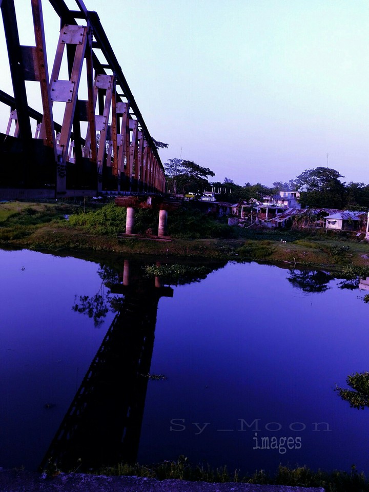 Bridge View!