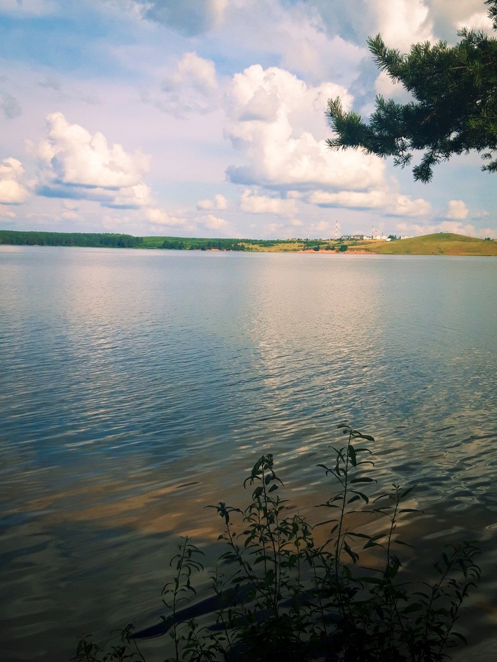 Белая Холуница