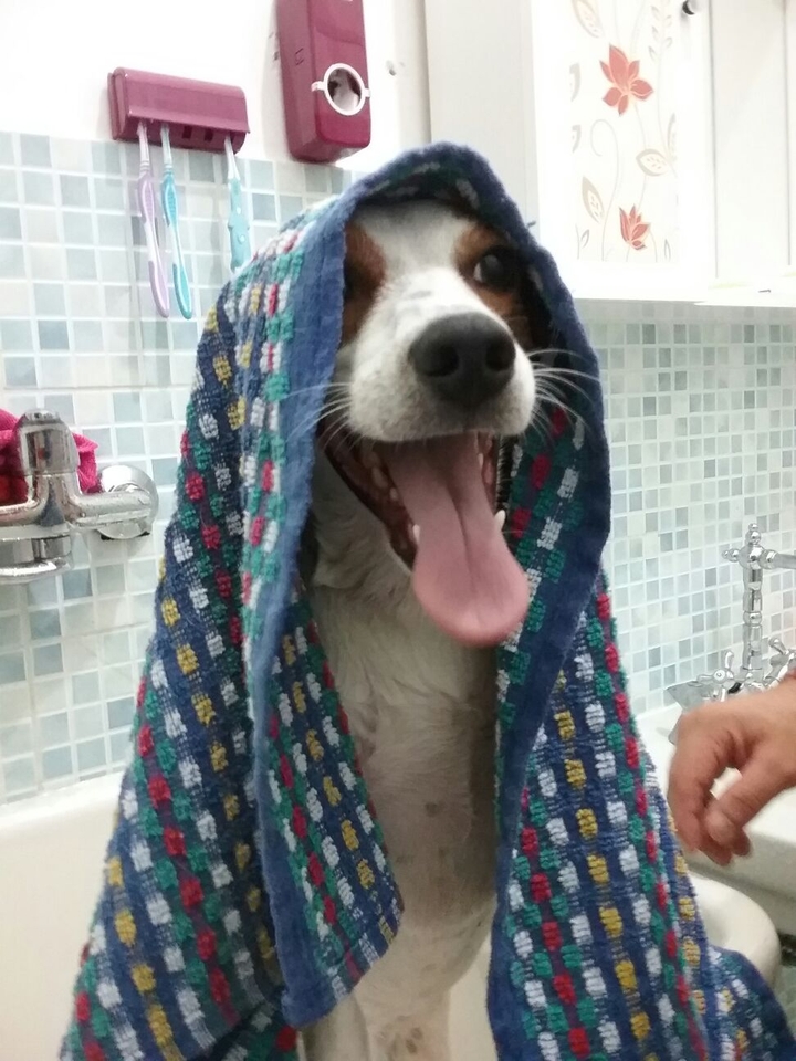 dopo una bella doccia rinfrescante 