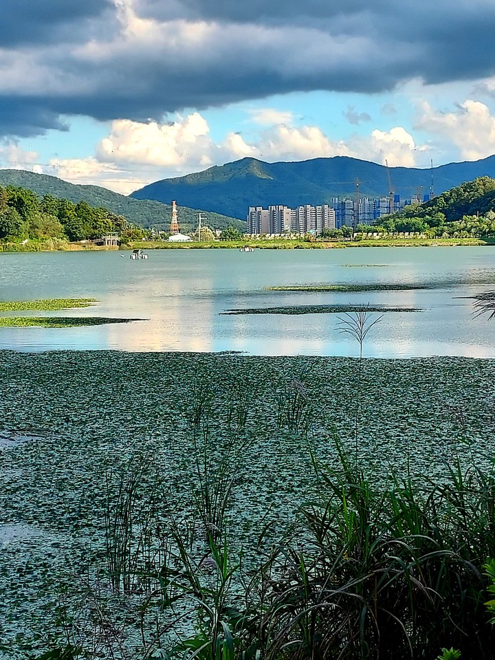 산책길에서