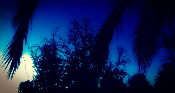 shiraz