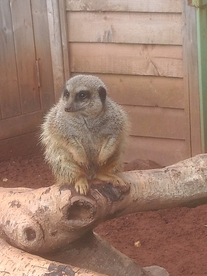 "what u looking  at"