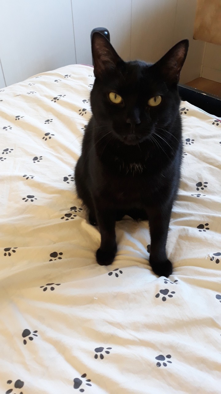 Gaston.