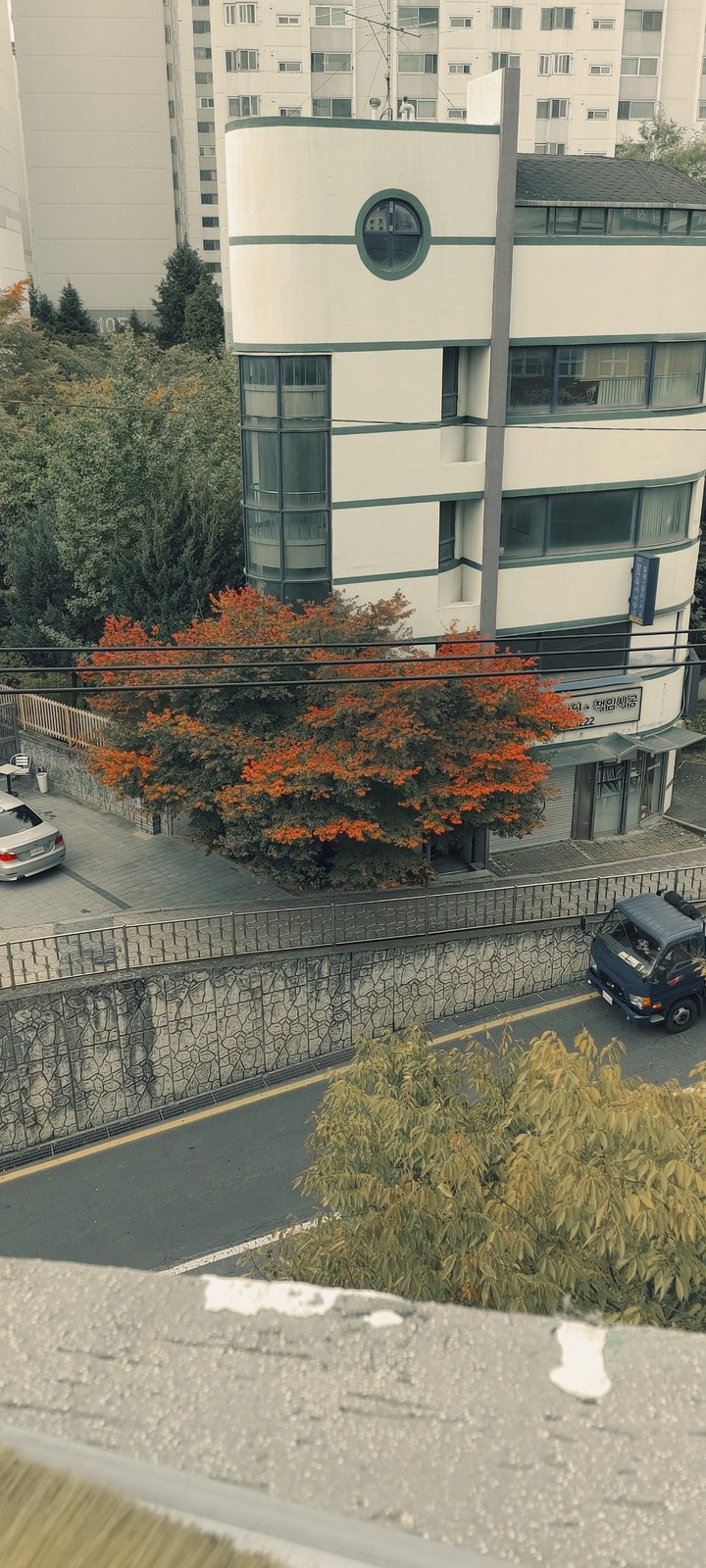 가을풍경....