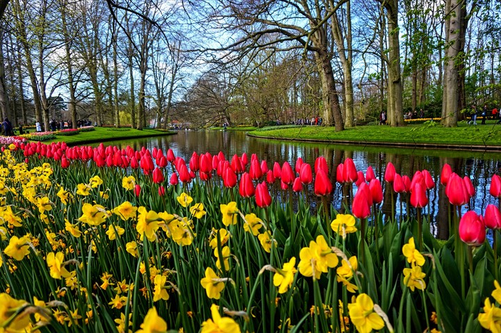 Keukenhof