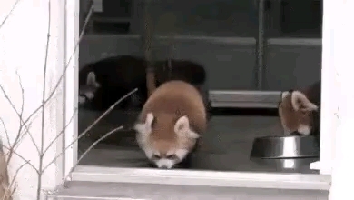 бу!