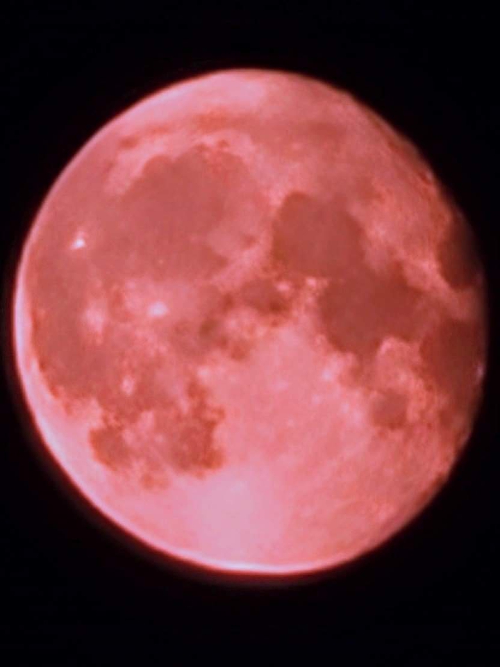 Pretty In Pink