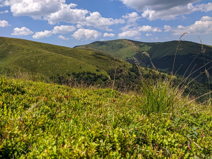 Carpathian, Ukraine