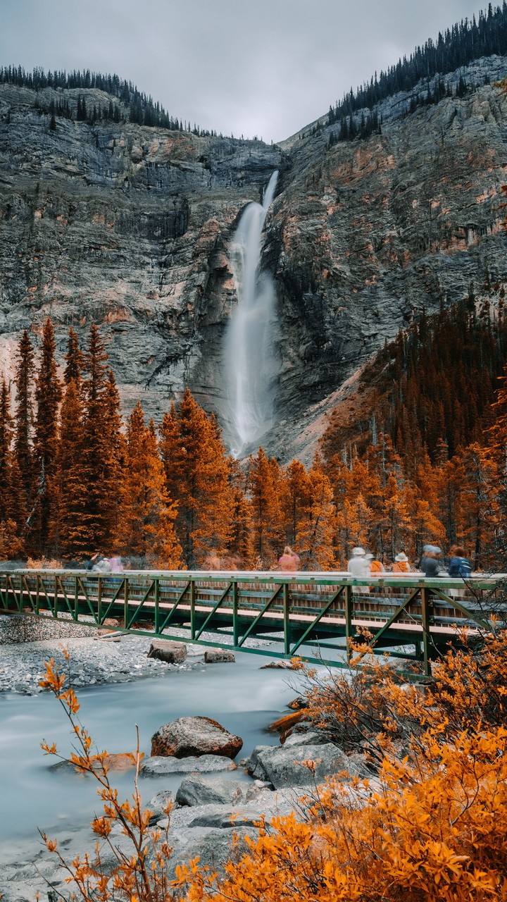 viviendo el otoño