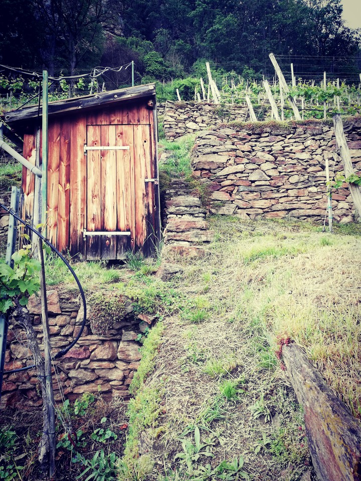 in Austria