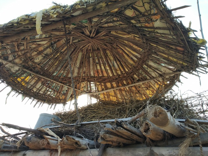 human nest