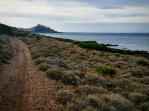 Road