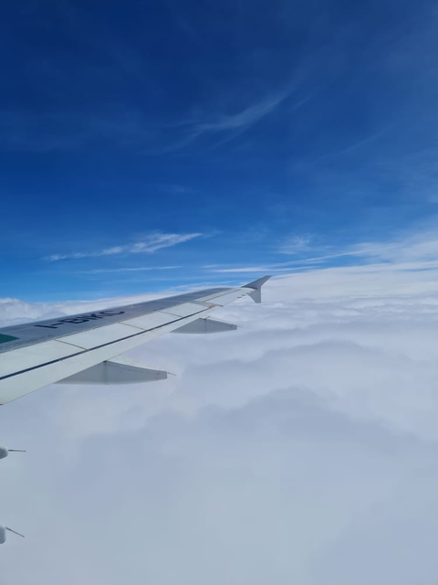 airplane