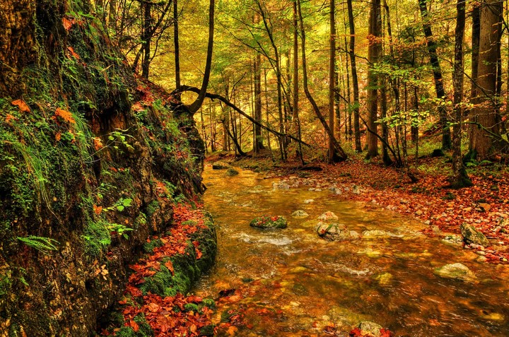 Nature