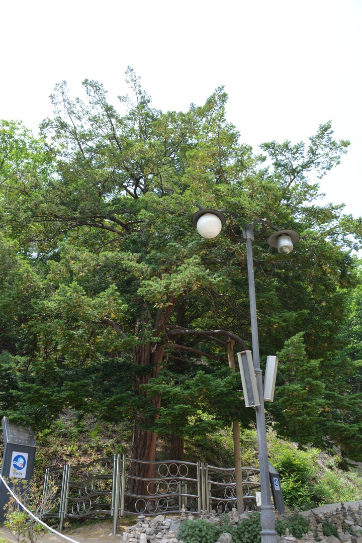 오봉산이미지