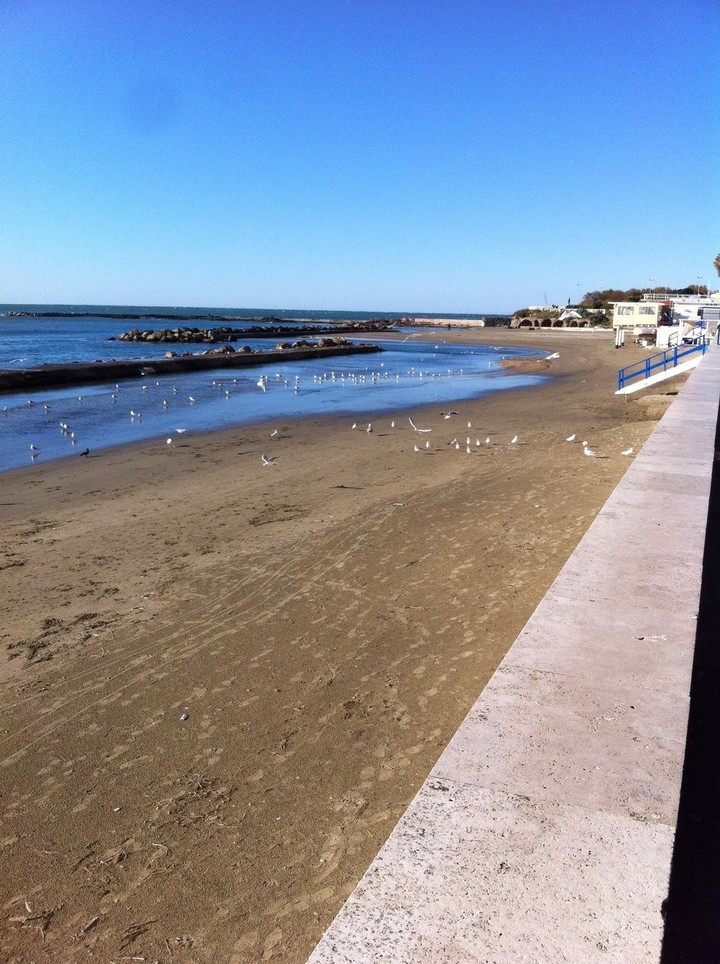 nettuno