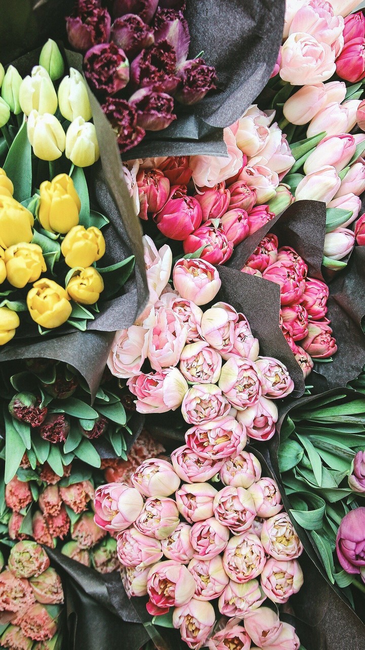 Beautiful Flowers