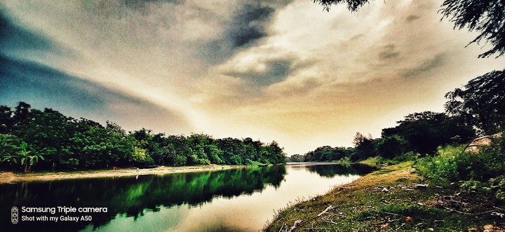 nature