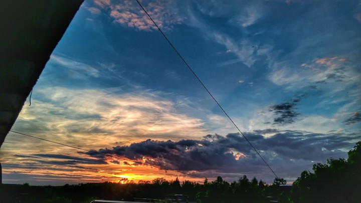 пение засыпающих птиц